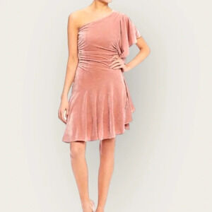Gianni Bini Glitzy Daze One Shoulder Ruffle Velveteen Dress Blush Pink Small